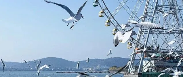 秘诀分享！亲测50家店铺，运营6个月的Etsy中国店铺已经出了903单。