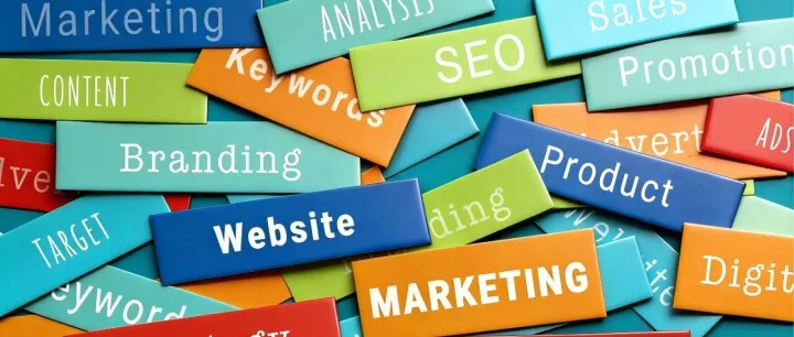 广告越来越贵，你以为流量只能靠广告，其实不是！