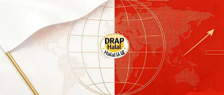 马年春节出海巴铁：“年味商机”，合规先行！