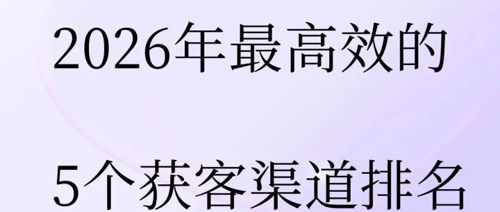 基于100家B2B出海企业数据：2026年最高效的5个获客渠道排名