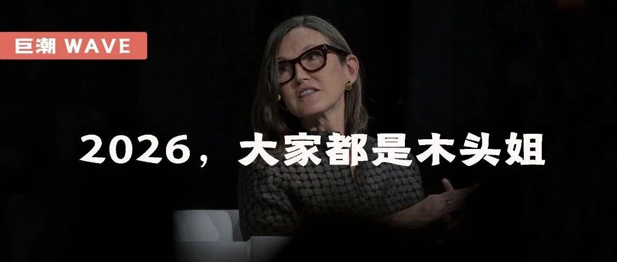 2026,大家都是木头姐 | 巨潮- 大数跨境