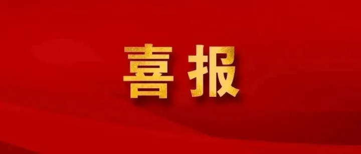 喜报 | 华讯网络荣登“2025上海软件和信息技术服务业百强” 榜单第20位