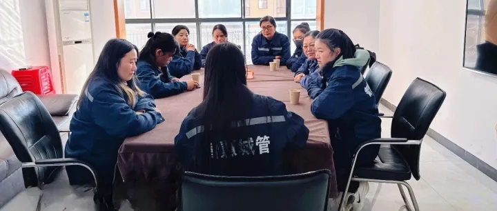 岳阳项目 I 夯实信息采集基础 助力文明城市创建