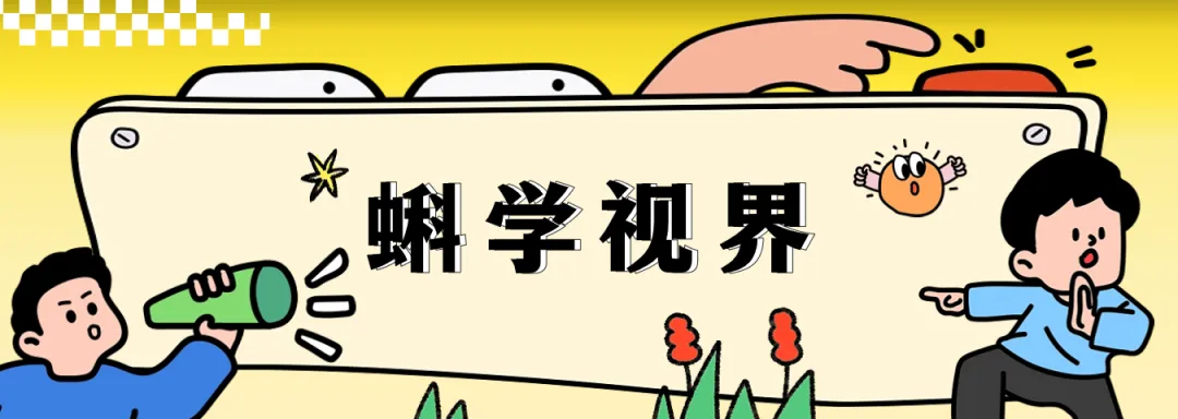 如果从太空扔出一架纸飞机,会发生什么?- 大数跨境