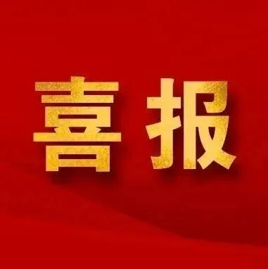 喜报｜电科数字荣获2025中国企业改革发展优秀成果二等奖