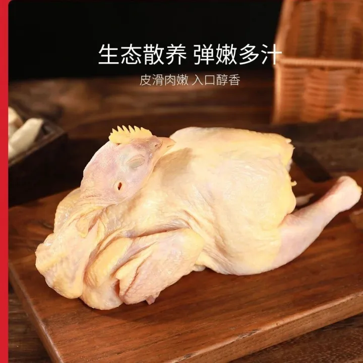 九华山散养生态童子鸡79.9元/3只
