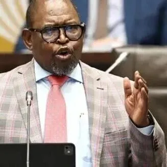 财政部长表示：南非仍在修复祖马执政时期造成的财政损失