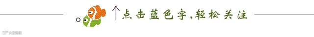 小鱼引导关注图