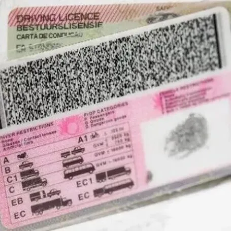 南非交通部长警告：驾照年限延长或导致收费提高