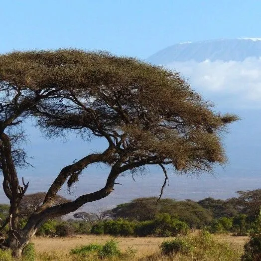 已有<em>超</em>1500个集装箱被扣！货物滞<em>港</em><em>超</em>30天或将销毁！