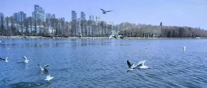 这里是武汉，不看很亏！