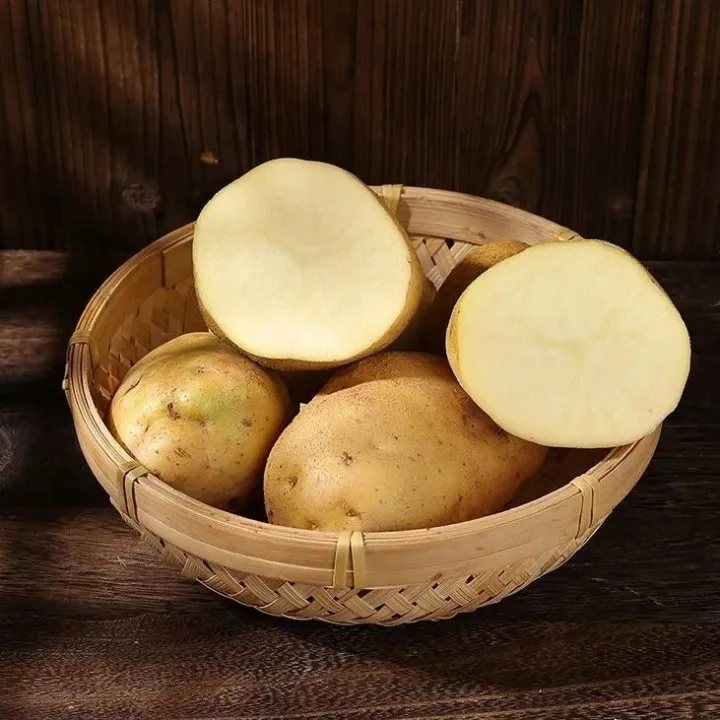 甘肃<em>定西</em>黄心沙面土豆