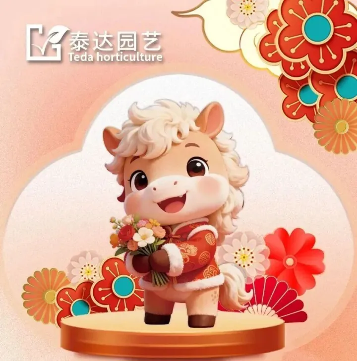 马跃花开贺新年 | 2026年泰达园艺年宵花预售开始啦！