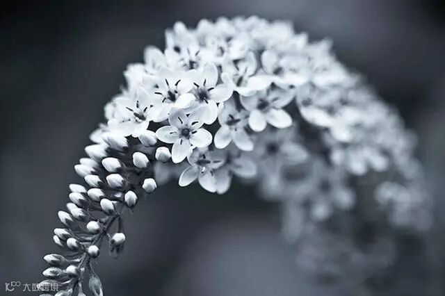 物理学摄影师教你理性思维拍好风光片_1_1