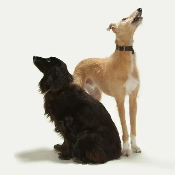 不做“夹心<em>饼干</em>”，这些沟通法则要学会