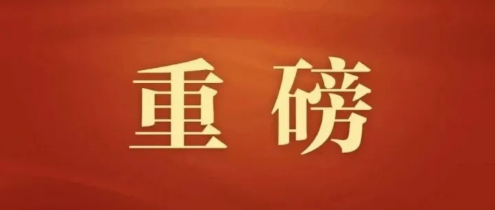 “十五五”主要目标！