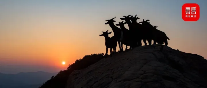 又双叒刷新记录！“湖北一只羊”摘星2026国际美味奖