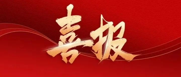 喜报！江苏数字鹰及旗下企业深耕低空经济，多地场景斩获佳绩