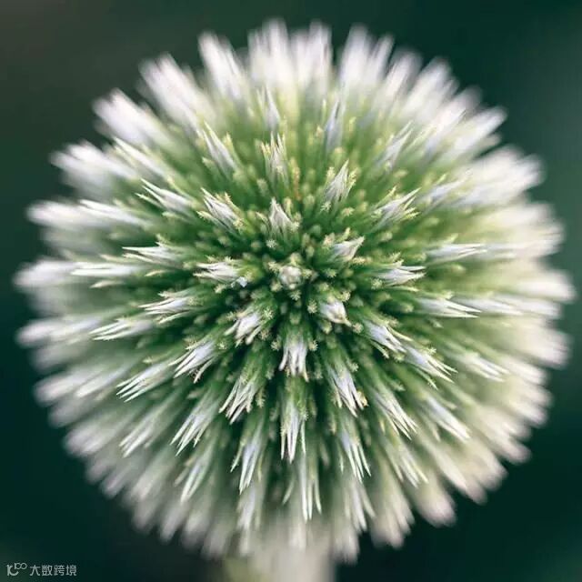 物理学摄影师教你理性思维拍好风光片_2_1