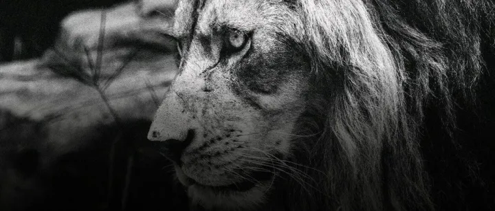 也该轮到游戏公司CEO受苦了