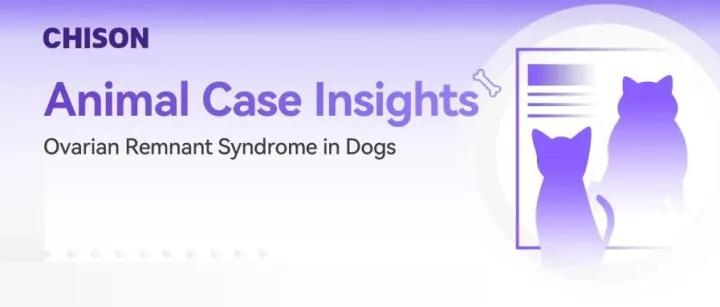 Animal Case Insights | Ovarian Remnant Syndrome in Dogs