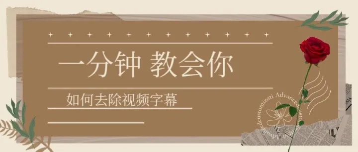 视频去字幕强大功能 快去试试吧！
