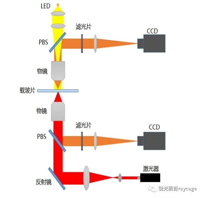 多轴笼式系统下的光镊- 大数跨境