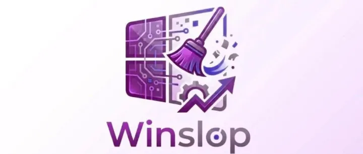 推薦一款Windows瘦身軟件Winslop