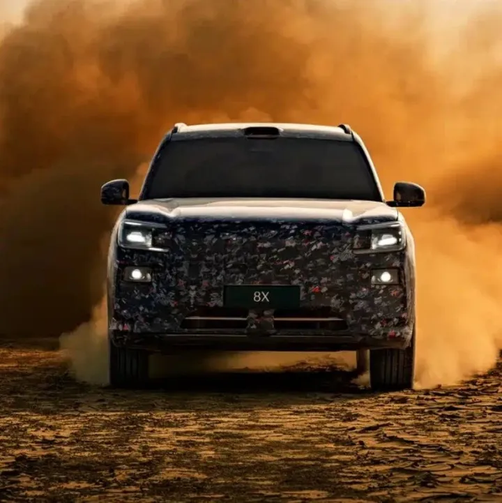 极氪<em>8X</em>官宣