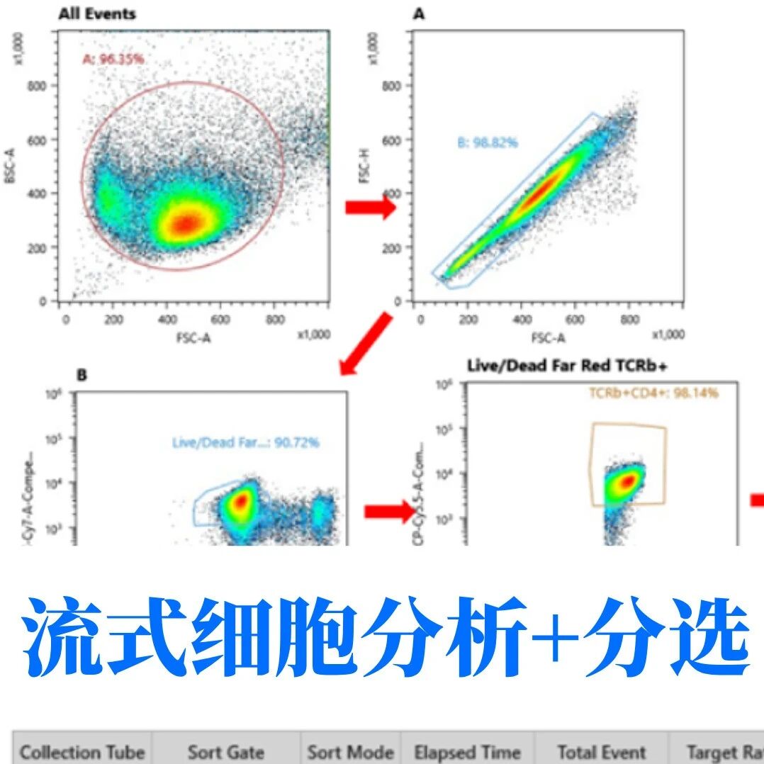 【流式全方案】精准分析,高效分选(内附视频详解)- 大数跨境
