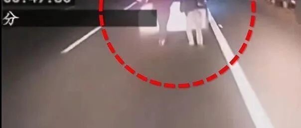2人凌晨高速路上被撞身亡！广东交警曝光