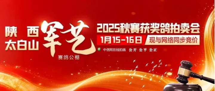 【下午直播】太<em>白山</em>军艺获奖鸽同步拍卖