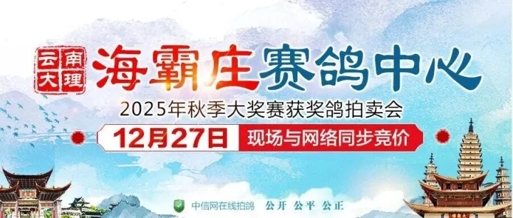 【27日直播】云南海霸庄获奖鸽同步拍卖