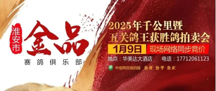 【明天直播】淮安金品获奖鸽同步拍卖