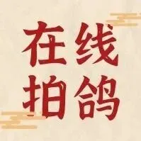 【在线拍鸽】公棚/协会/俱乐部2025年秋赛获奖鸽拍卖