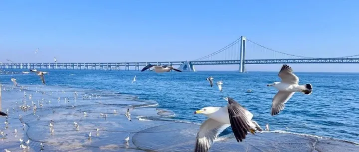 震惊！广州卖家开了一家Etsy中国店卖水晶，赚了1400万人民币！