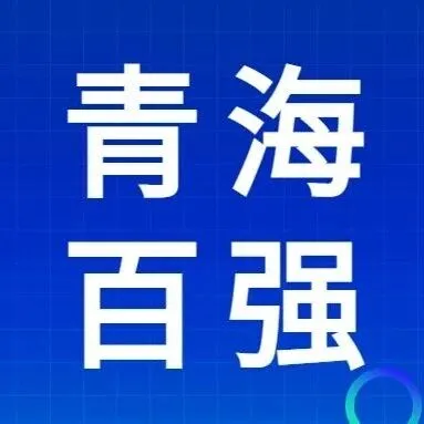 青海2025年建企中标百强