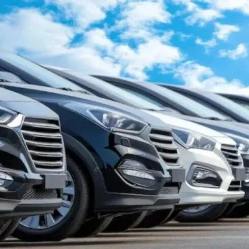 2025年巴西车辆销量数据全景解析：增长韧性与市场分化