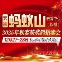【27-28日直播】安徽蚂蚁山获奖鸽同步拍卖