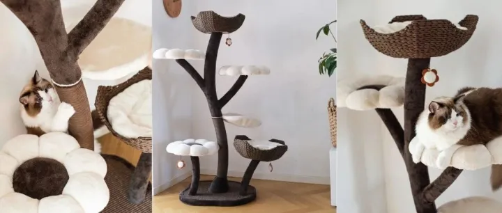 年营收3.7亿，这家企业把猫爬架卖到全球