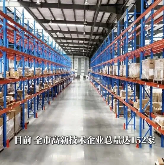 四中全会精神在基层｜厚植科创土壤 助力企业破浪前行