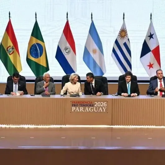 巴西加入南方共同市场协定何时正式生效？