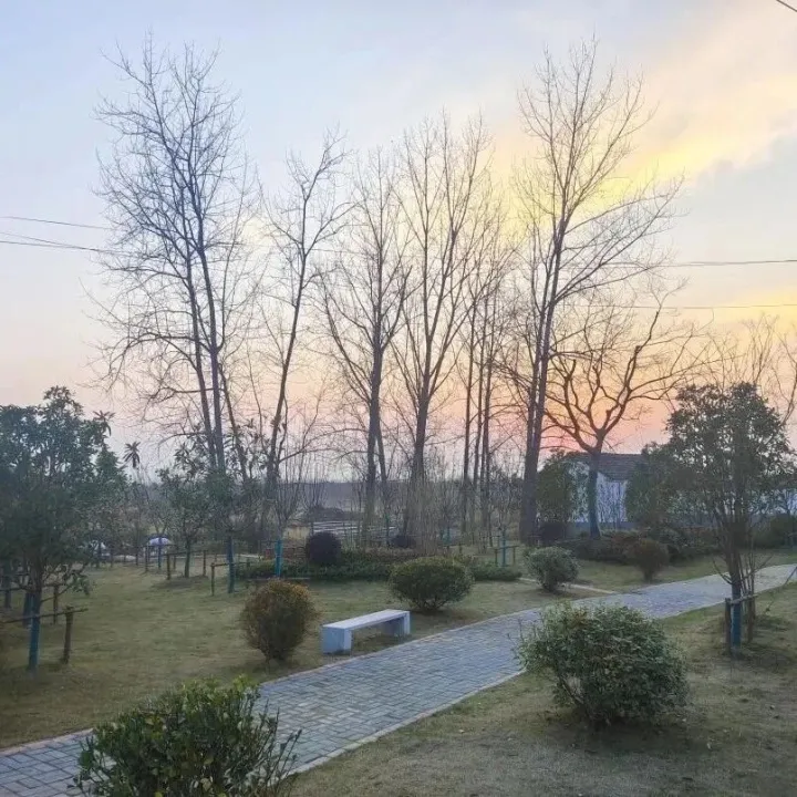 我們的“十四五”  |  東橋篇