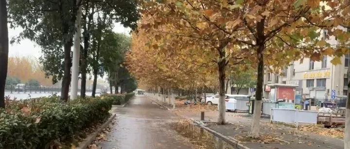 预警拉满！凤台即将“断崖式降温”，请注意→