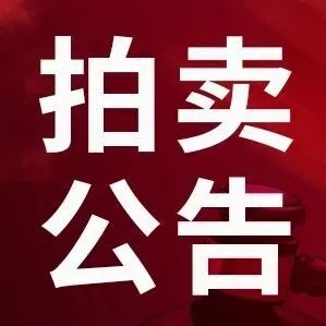 2026年01月22日 吉林省三包件；杂料；废纸壳；木托盘拍卖公告