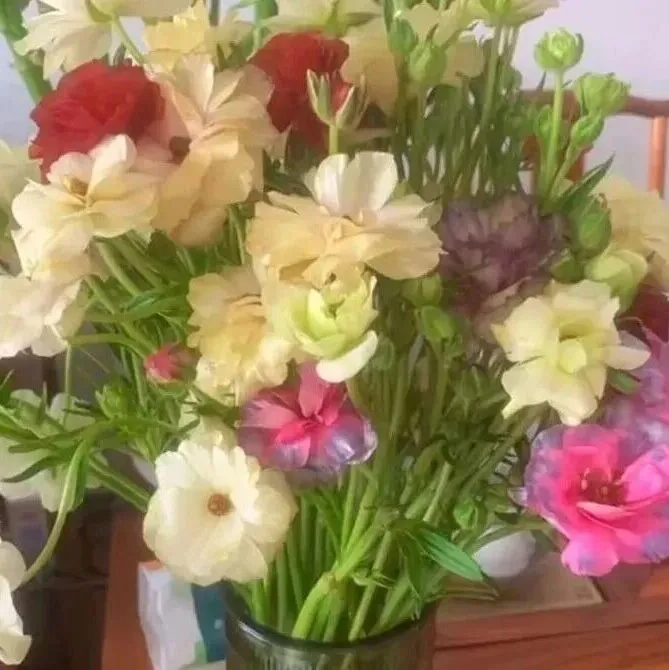 冬日枯<em>山水</em>  忽见胭脂色