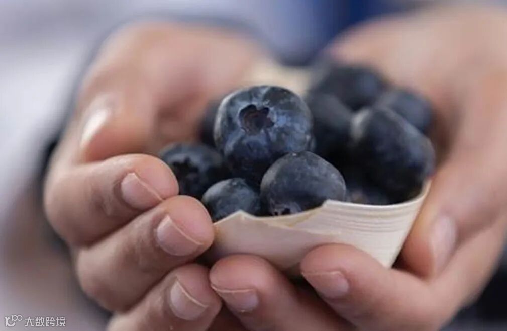 秘鲁蓝莓：9大品种主导新季出口 种植面积再创新高 - 亚洲水果