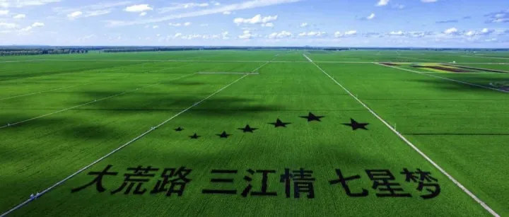 文行致远｜佳木斯：于稻香四溢间寻味中国粮仓之魂