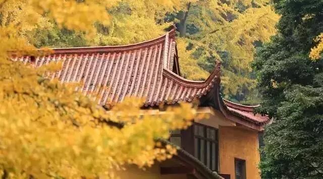 旷古稀世奇珍宝训!《菜根谭》精选30句- 大数跨境
