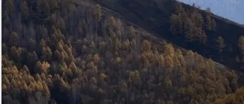 资源帝国：俄罗斯巨量地下财富<em>分布图</em>